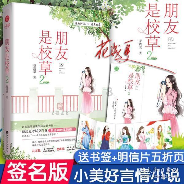 救援沙滩女孩