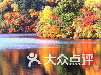 动物帮帮忙保卫家园