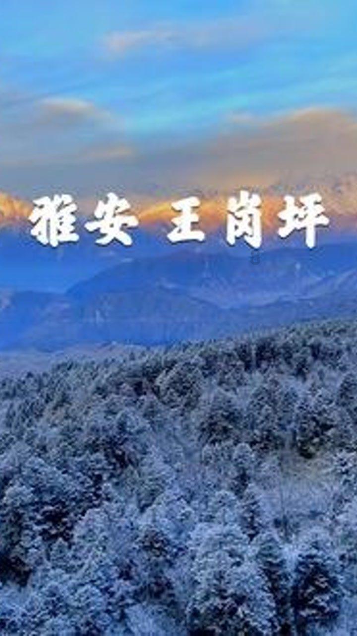 闺蜜的时尚对决