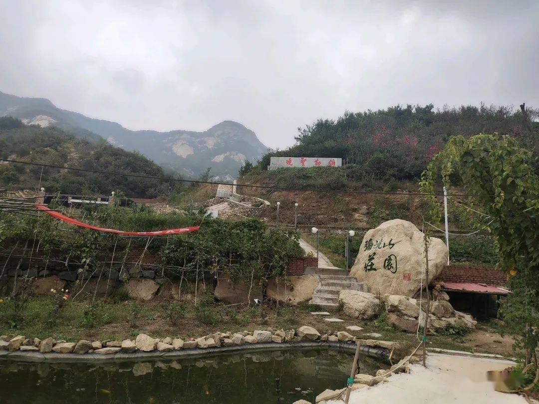 豆娃踢足球
