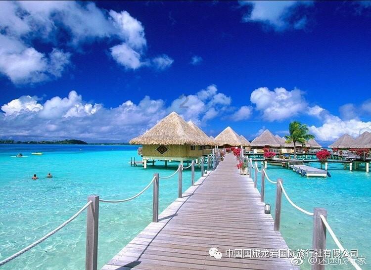 探索职场中与人相处太直真的不好吗?,共享知识星球