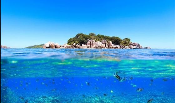 深海迷航
