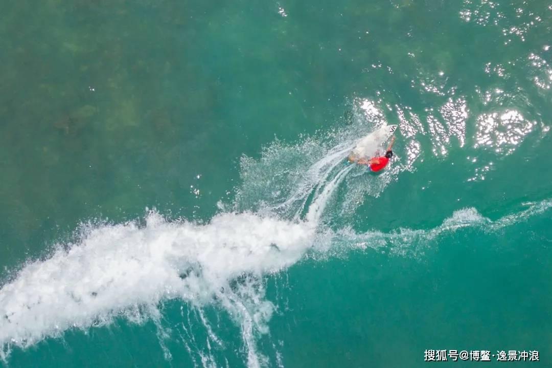 无休止的树