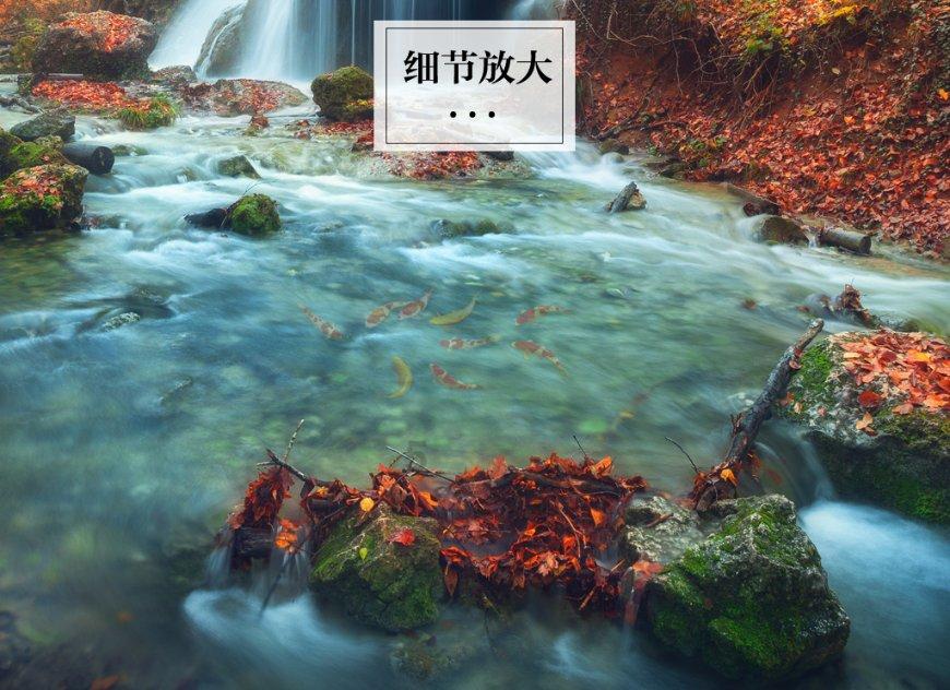 值班电话
